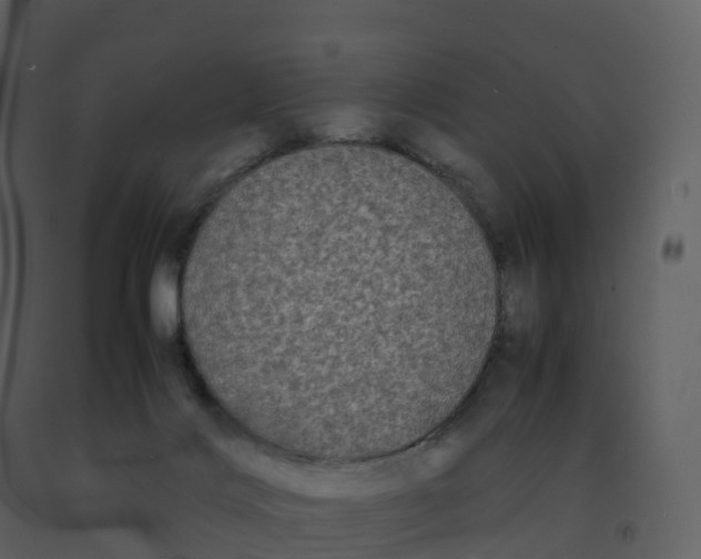 X0000092270028200710051349