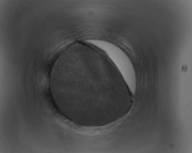 X0000092270029200710051349