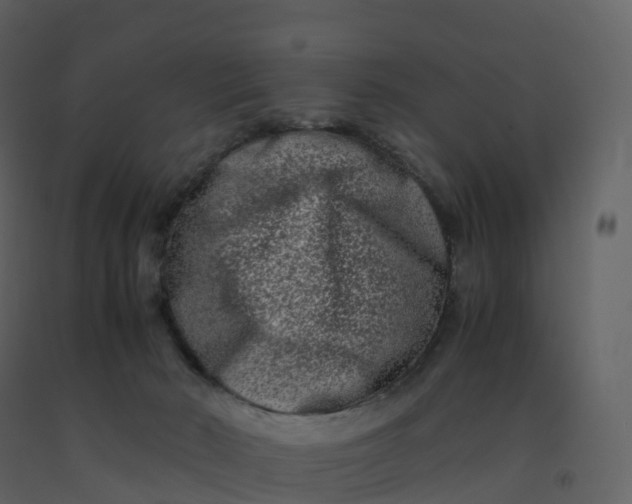 X0000092270030200710051349