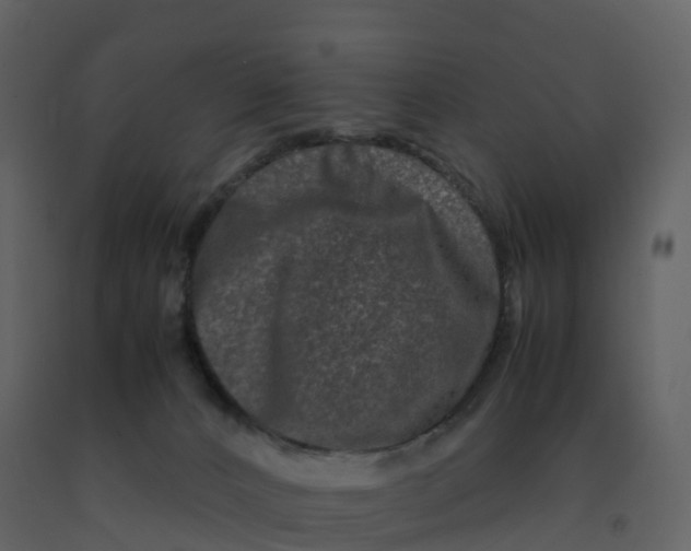 X0000092270032200710051349