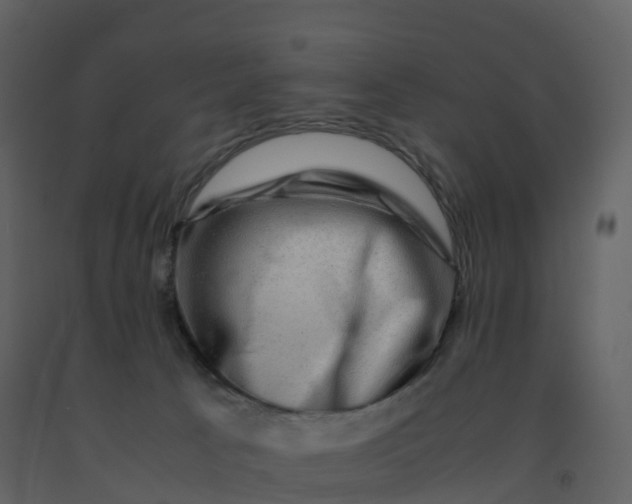 X0000092270033200710051349