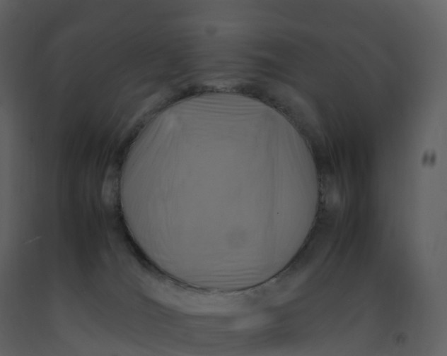 X0000092270036200710051348