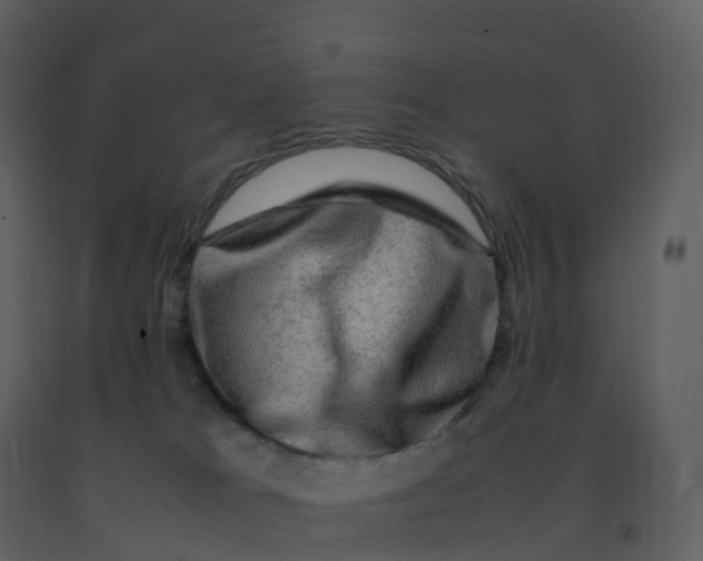 X0000092270037200710051348