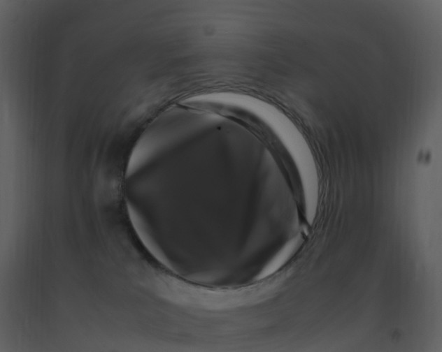 X0000092270039200710051348