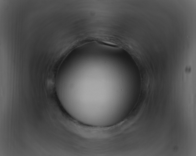 X0000092270040200710051348