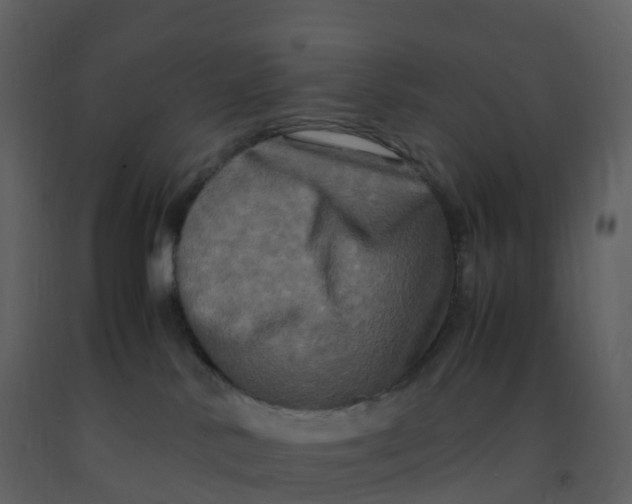 X0000092270042200710051348