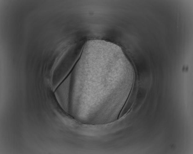 X0000092270045200710051348