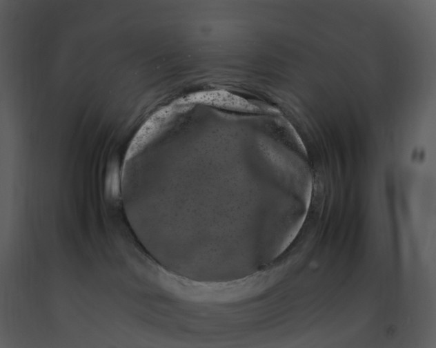 X0000092270046200710051348