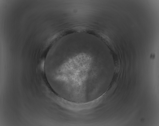 X0000092270047200710051348