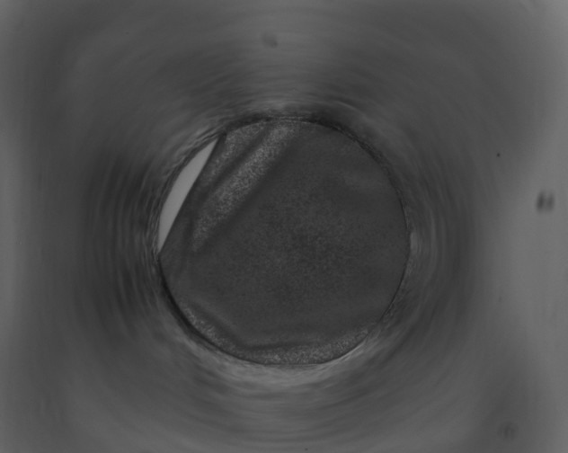X0000092270048200710051348