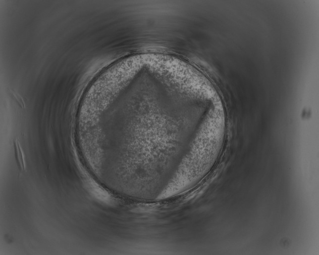 X0000092270049200710051348