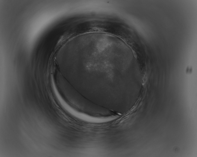 X0000092270052200710051348