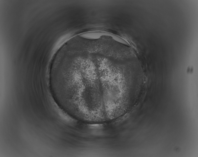 X0000092270053200710051348