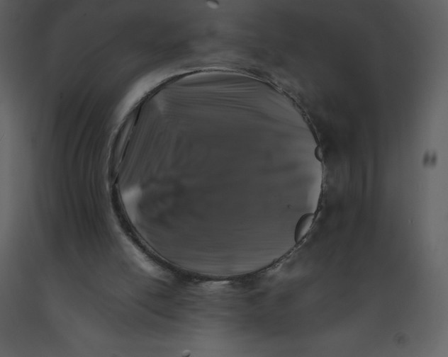 X0000092270054200710051348