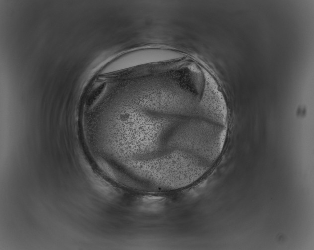 X0000092270055200710051348