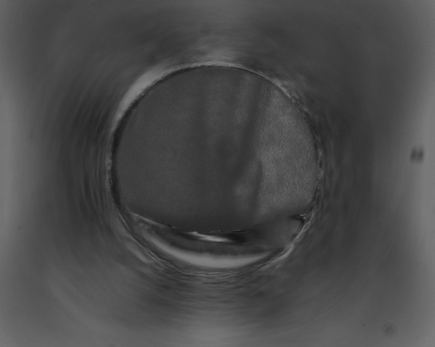 X0000092270056200710051348