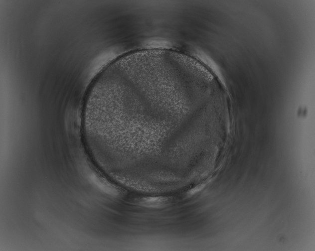 X0000092270059200710051348
