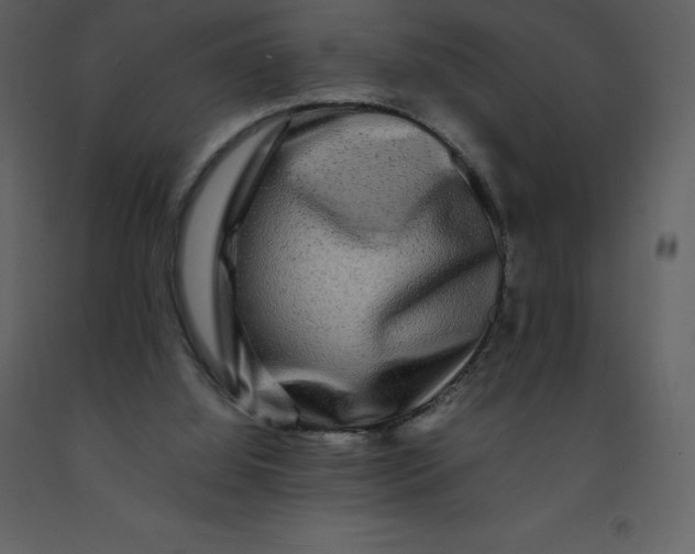 X0000092270060200710051348