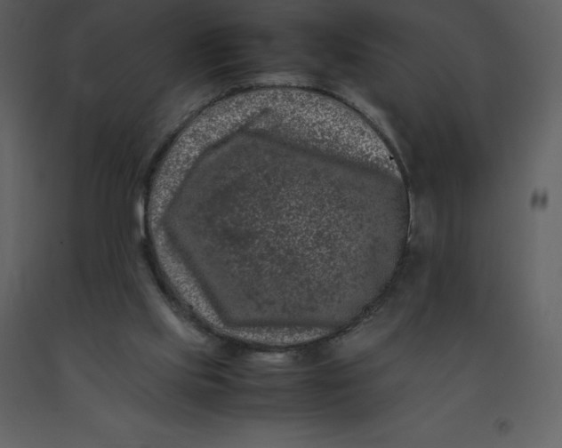 X0000092270061200710051348