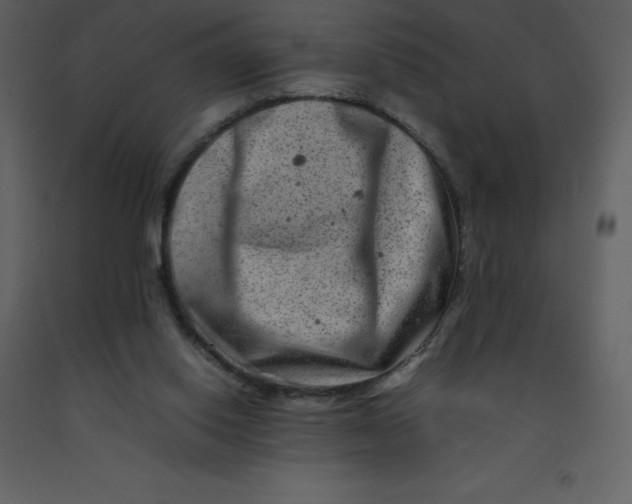 X0000092270062200710051348