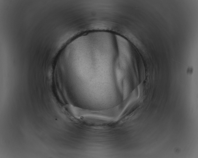 X0000092270064200710051348