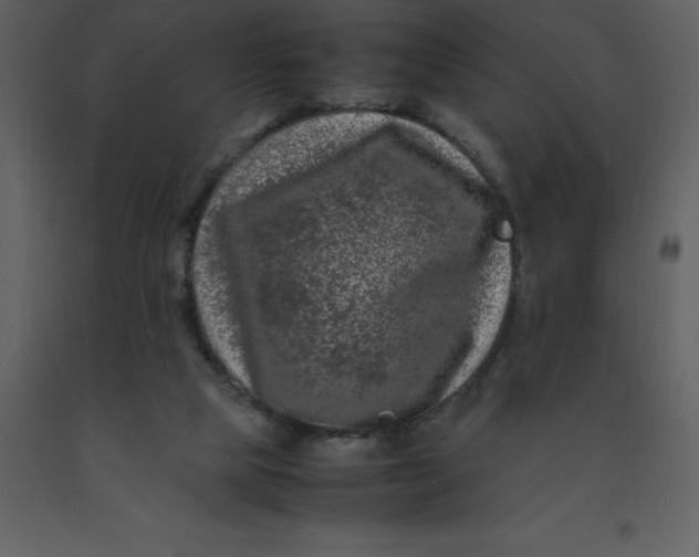 X0000092270065200710051348