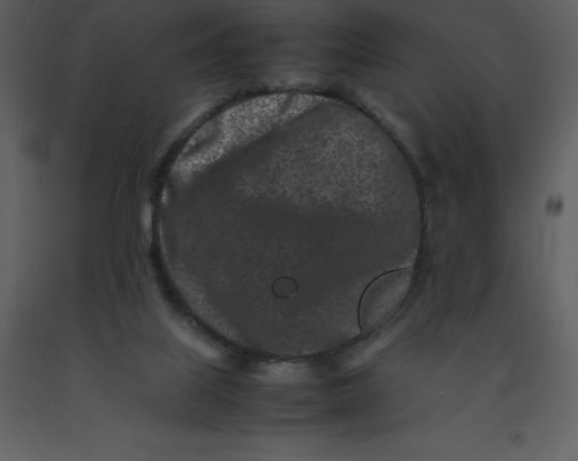 X0000092270067200710051348