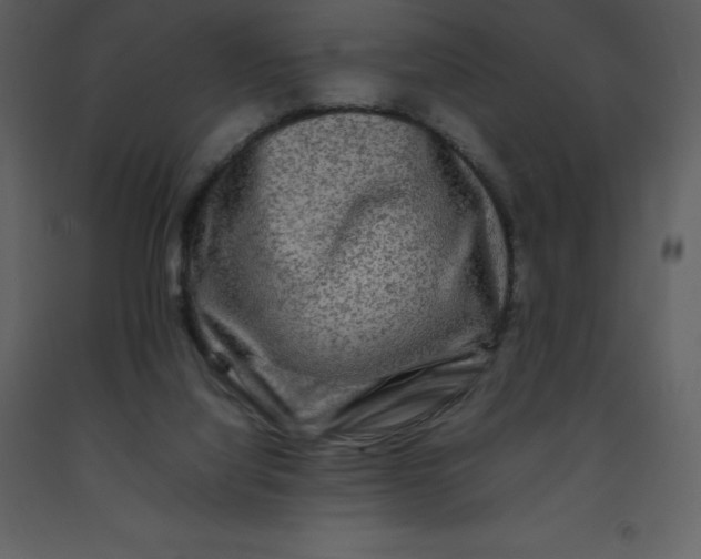 X0000092270068200710051348