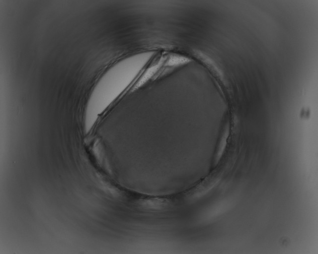 X0000092270069200710051348