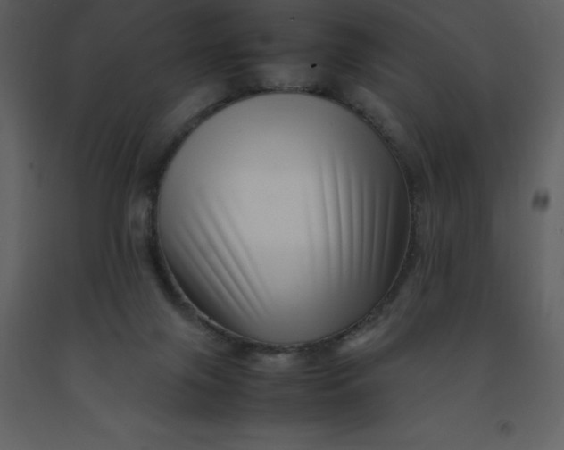 X0000092270071200710051348