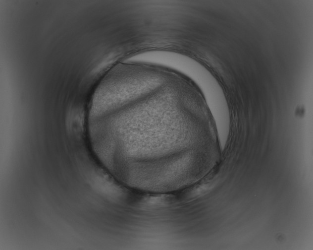 X0000092270072200710051348
