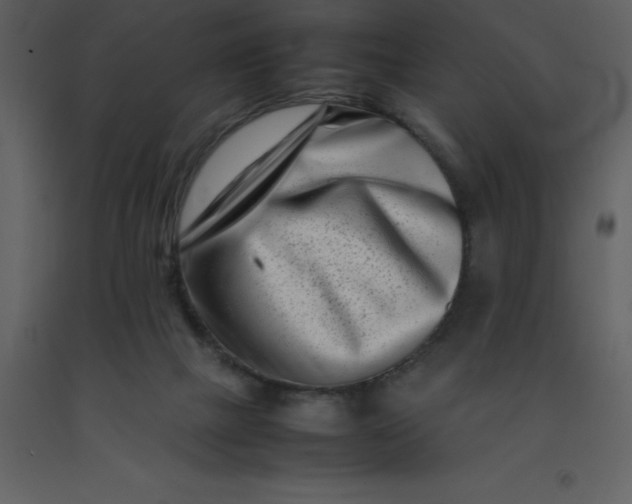 X0000092270073200710051348
