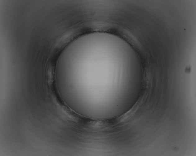 X0000092270074200710051348