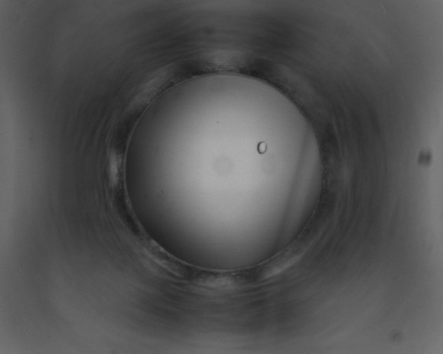 X0000092270075200710051348