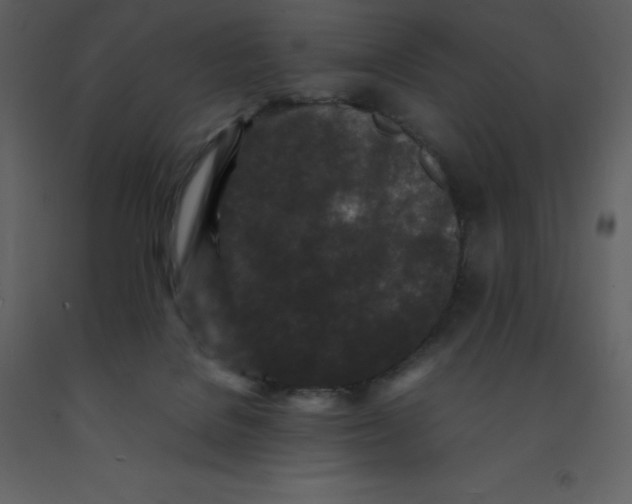 X0000092270076200710051348