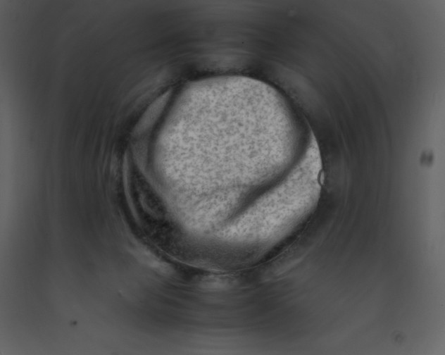 X0000092270077200710051348