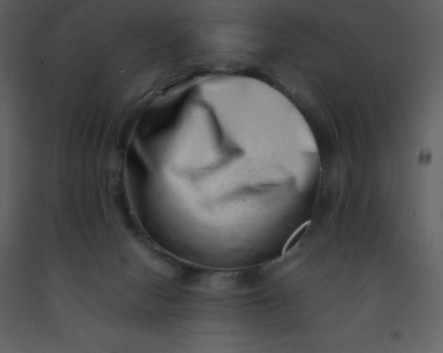 X0000092270078200710051348