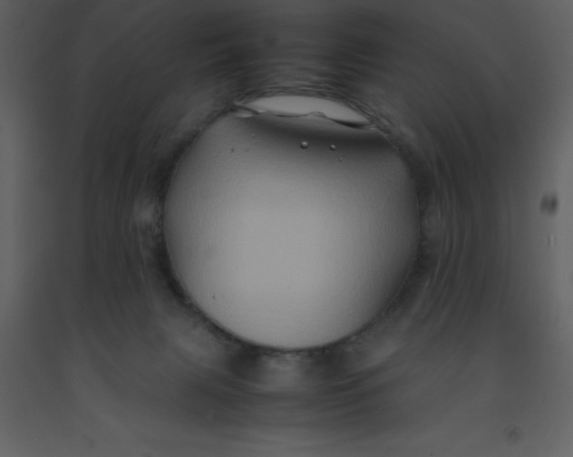 X0000092270079200710051348