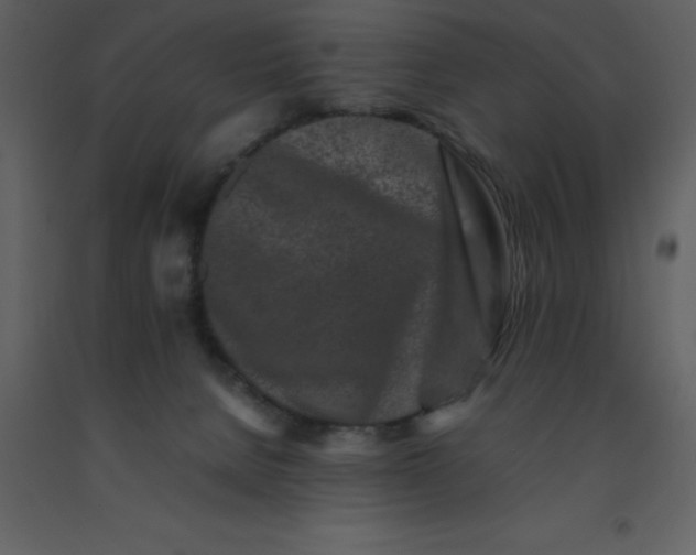 X0000092270080200710051348
