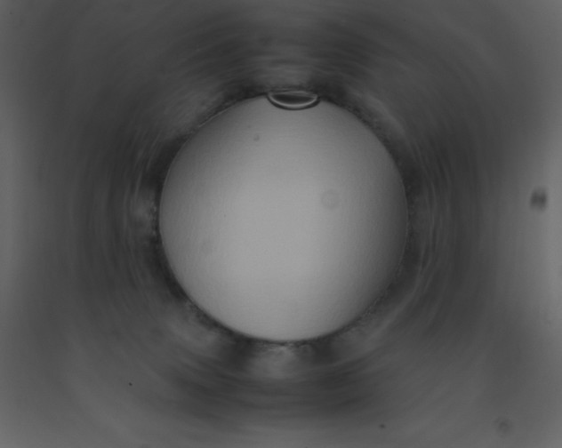 X0000092270083200710051348