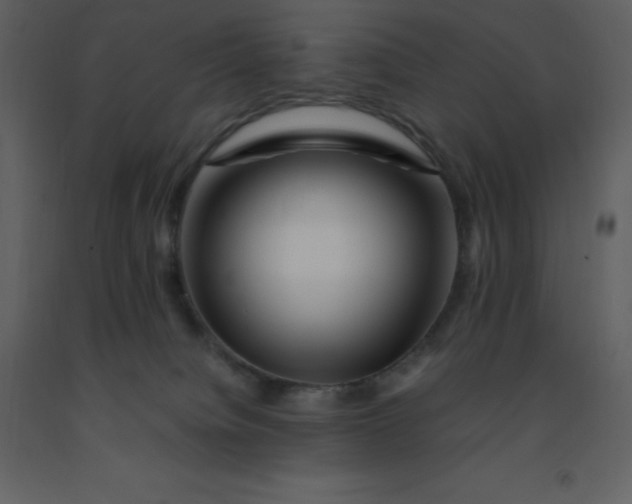 X0000092270084200710051348
