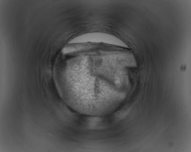 X0000092270085200710051348
