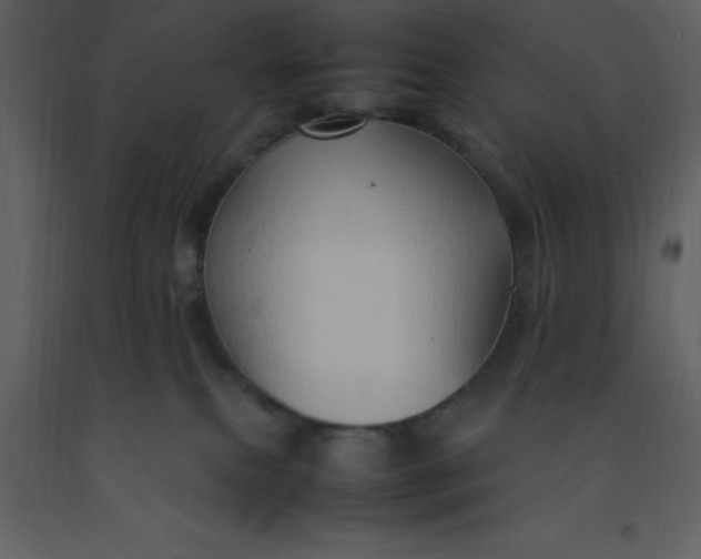 X0000092270087200710051348