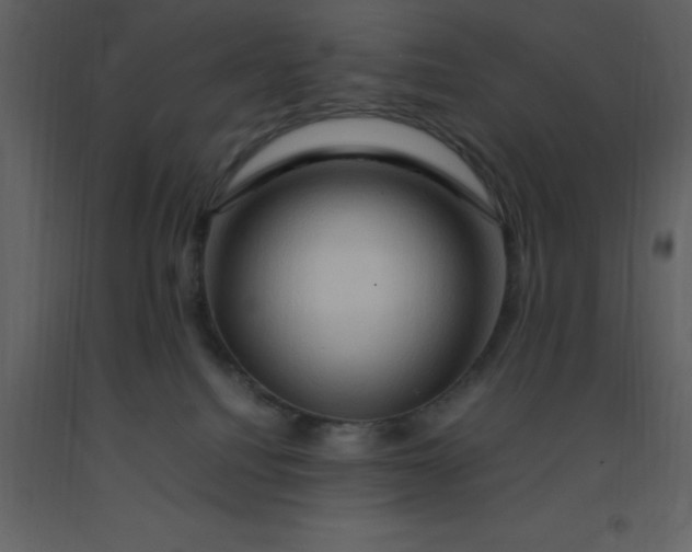 X0000092270088200710051348