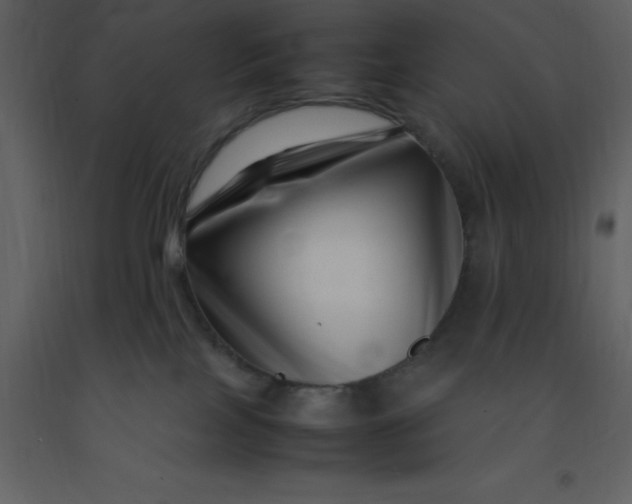X0000092270089200710051348