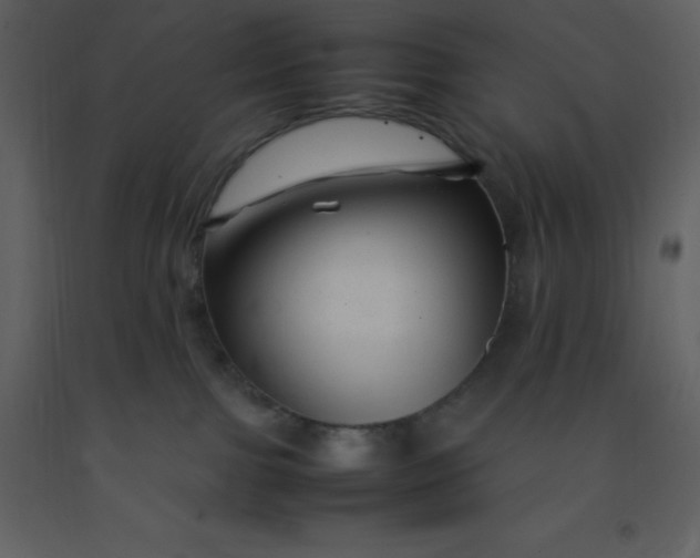 X0000092270091200710051348