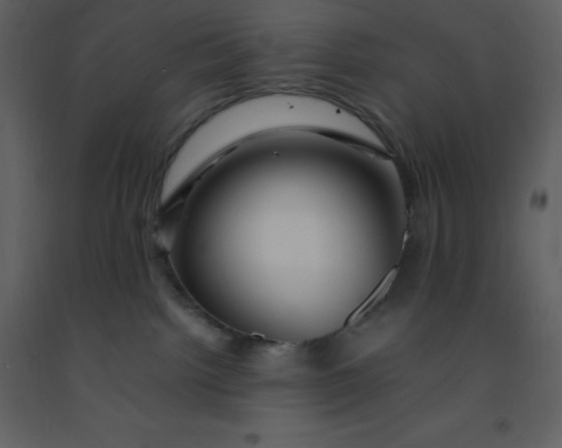 X0000092270092200710051348