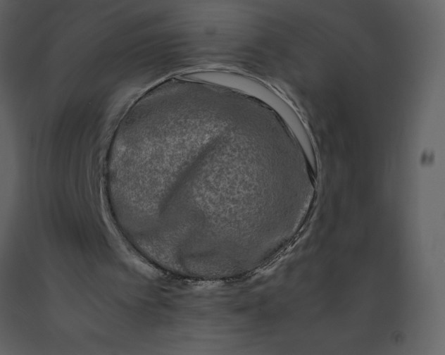 X0000092270097200710051348
