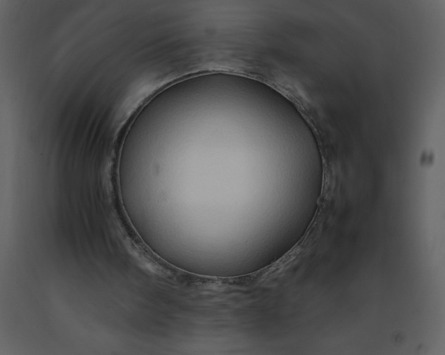X0000092270098200710051348