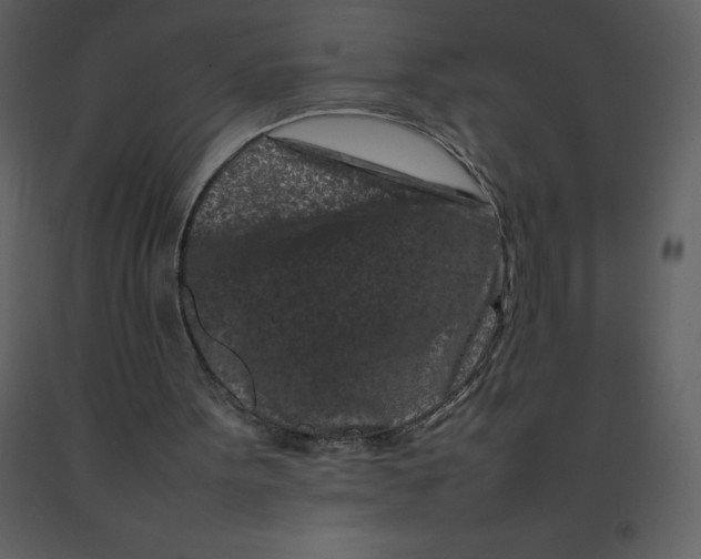 X0000092270099200710051348